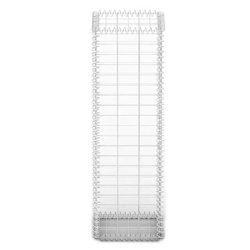 Gabion Basket Galvanised Steel 100x30x30cm Silver with Lids