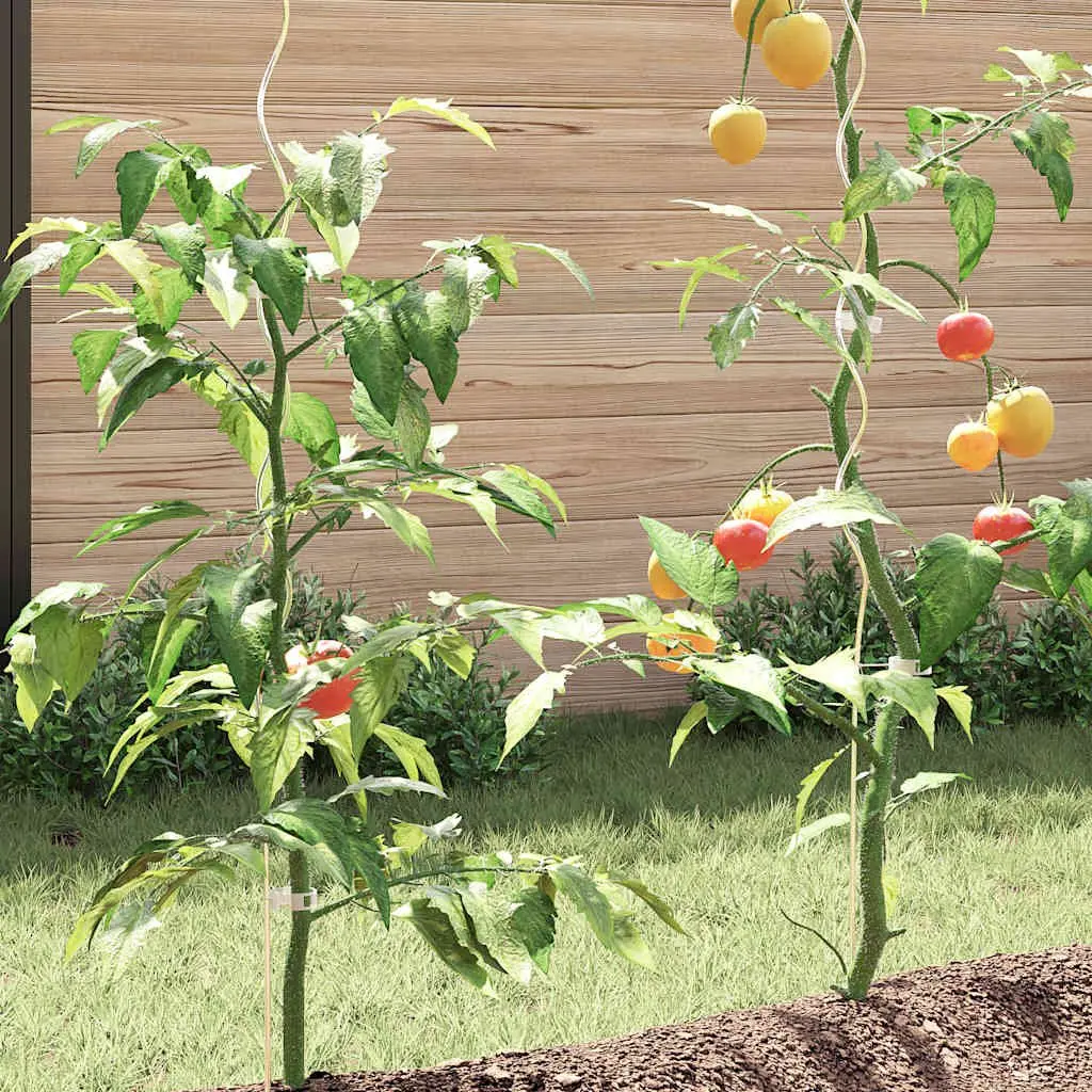 Spiral Plant Supports 110cm Galvanised Steel Tomato Climbing Vegetables 50