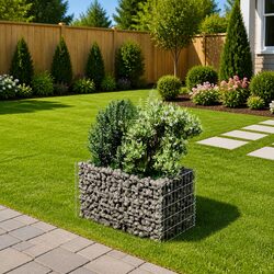 Practical Gabion Raised Bed for Outdoor Use