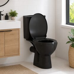Practical Black Toilet Seat for Home and Business Use