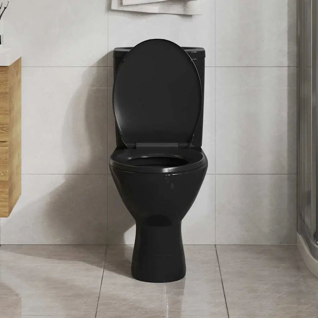 Black Toilet Seat for Home and Business Use