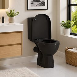 Practical Black Soft-Close Toilet Seat for Everyday Use
