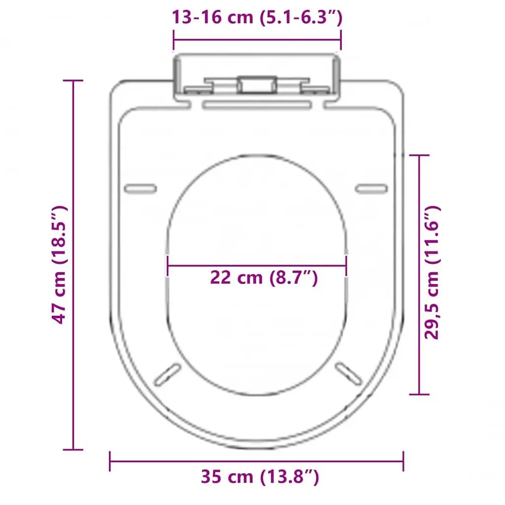 Soft-close Toilet Seat with Quick-release Design Black Standard Size Bathroom