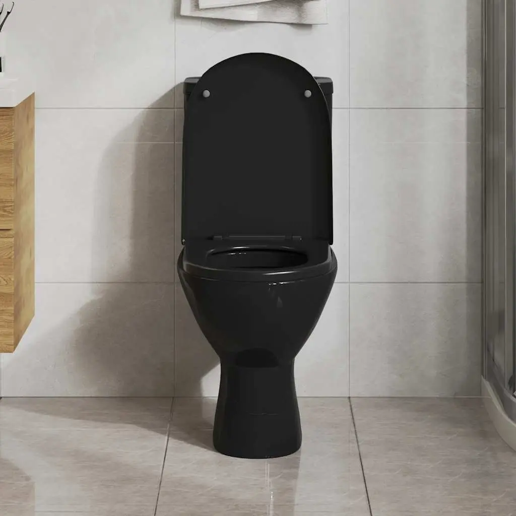 Soft-close Toilet Seat with Quick-release Design Black Standard Size Bathroom