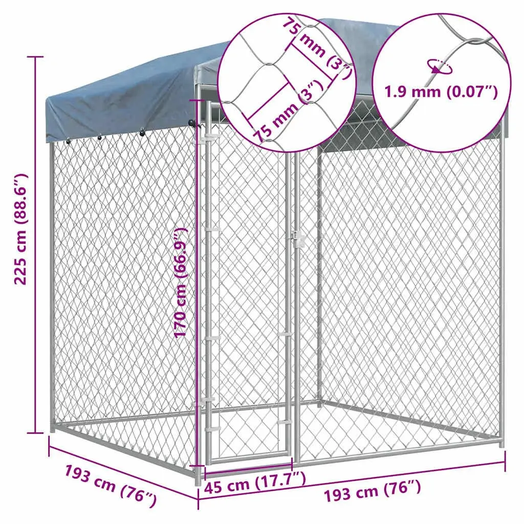 Outdoor Dog Kennel for Active Pets