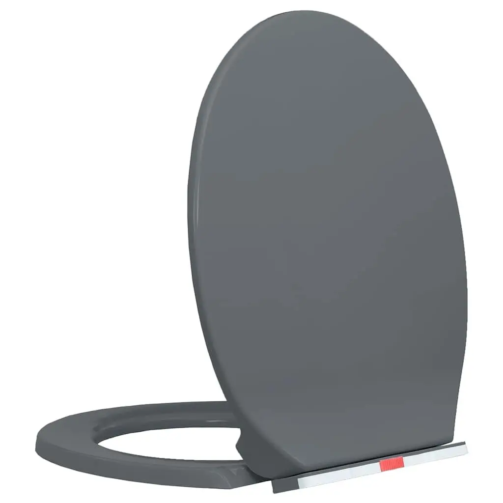 Soft-Close Toilet Seat Polypropylene Oval Grey Standard Bowl