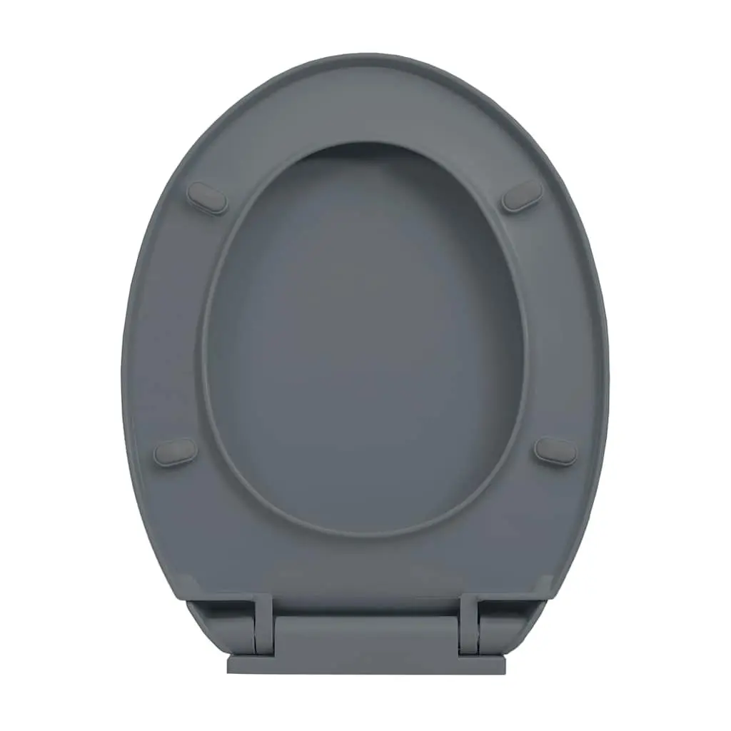 Soft-Close Toilet Seat Polypropylene Oval Grey Standard Bowl