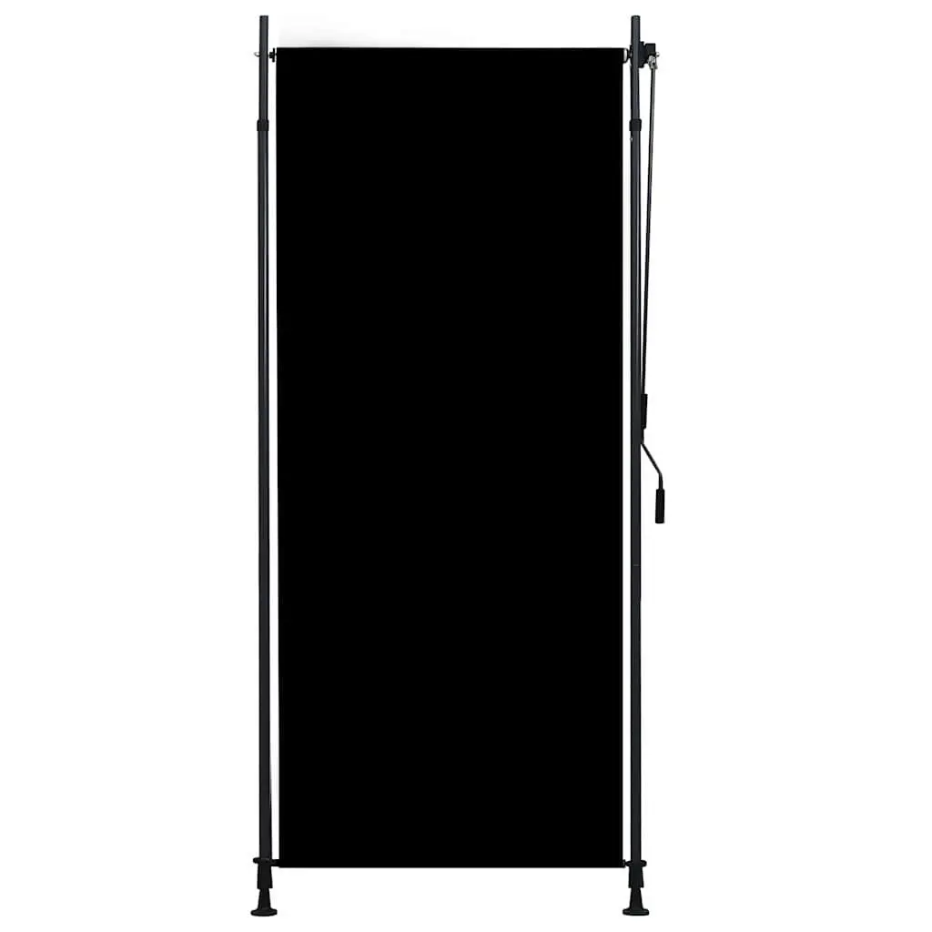 Outdoor Roller Blind Fade Resistant Fabric 100x270cm Anthracite Hand Crank