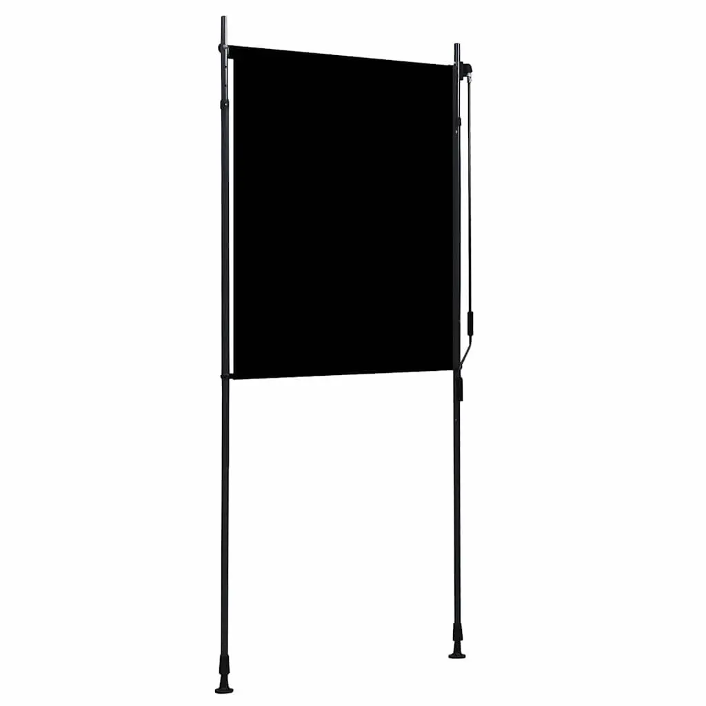 Outdoor Roller Blind Fade Resistant Fabric 100x270cm Anthracite Hand Crank