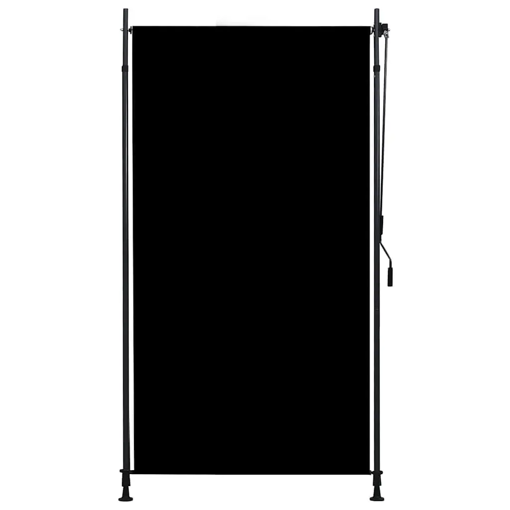 Outdoor Roller Blind Hand Crank 120x270cm Anthracite