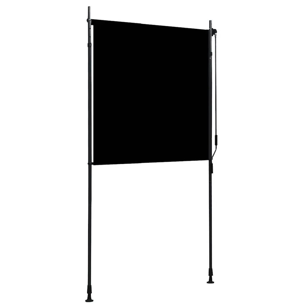 Outdoor Roller Blind Hand Crank 120x270cm Anthracite