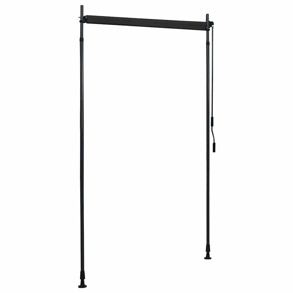 Outdoor Roller Blind Hand Crank 120x270cm Anthracite