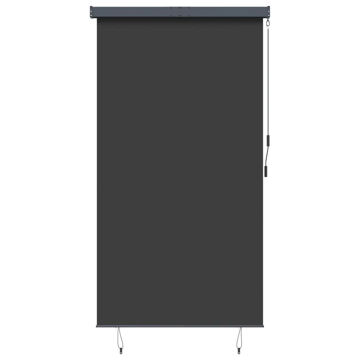 Outdoor Roller Blind Polyester 140x250cm Anthracite Hand Crank