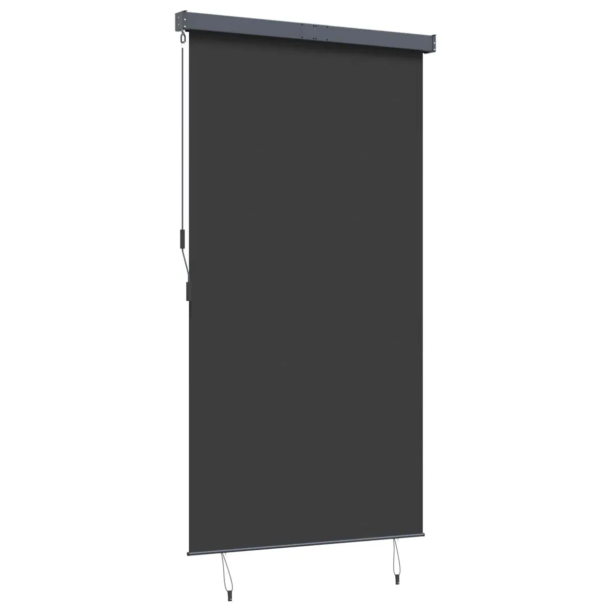 Outdoor Roller Blind Polyester 140x250cm Anthracite Hand Crank