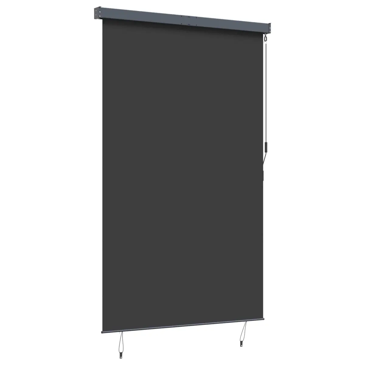 Outdoor Blind Hand Crank Anthracite 160x250cm Polyester Exterior Shade for Garden Patio Balcony