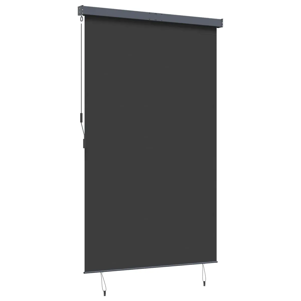 Outdoor Blind Hand Crank Anthracite 160x250cm Polyester Exterior Shade for Garden Patio Balcony
