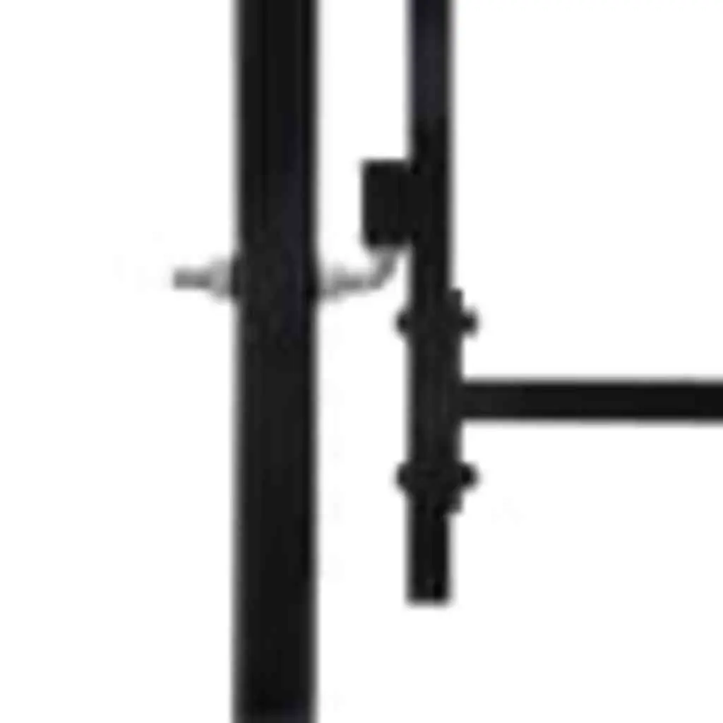 Double Gate Garden Fence Barrier Spike Top Black Heavy-Duty Steel 299.5x199.5cm
