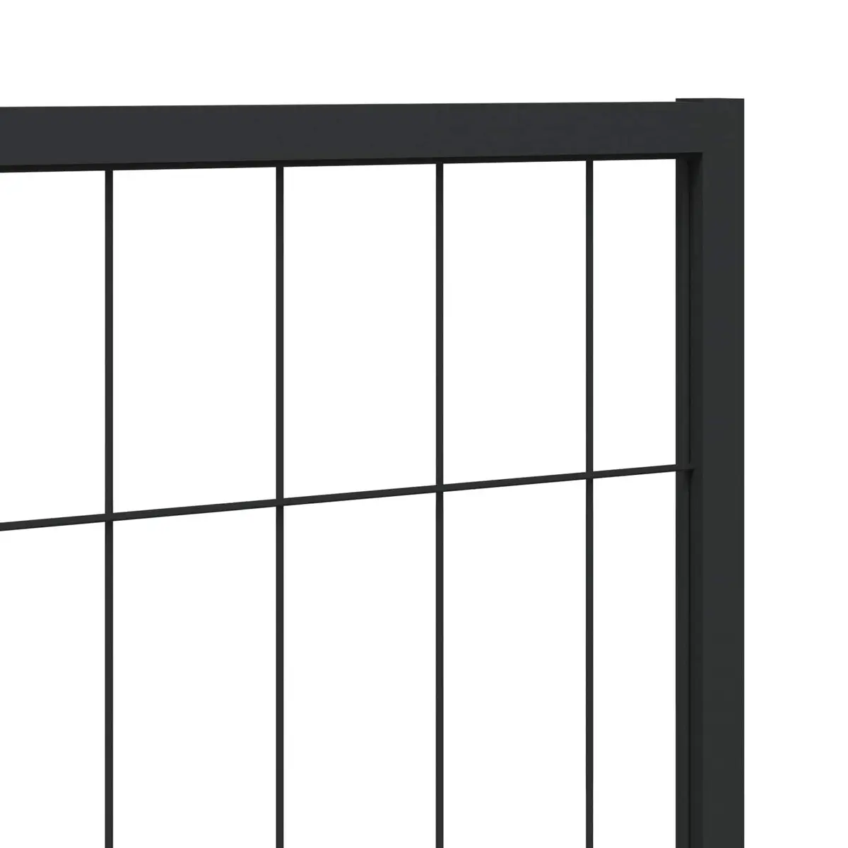 Outdoor Dog Kennel for Active Pets
