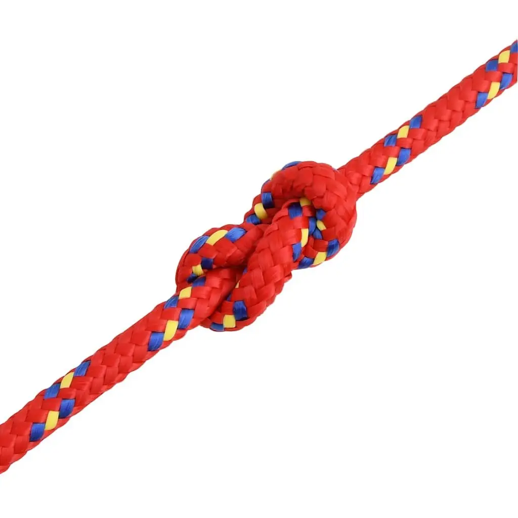 Braided Rope Polypropylene 10mm 100m Red