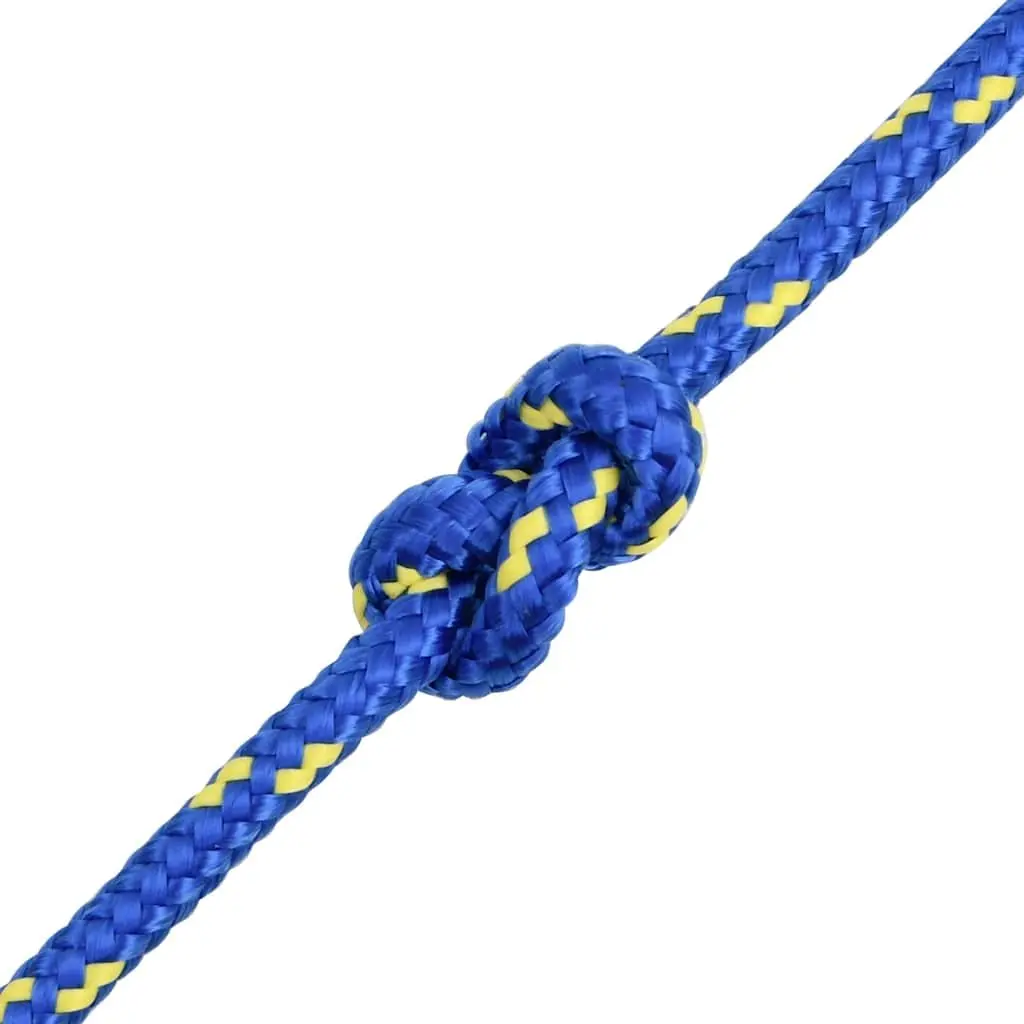 Marine Rope 10mm 100m Blue Braided Polypropylene Durable Dock Line for Boating Sailing Yachting