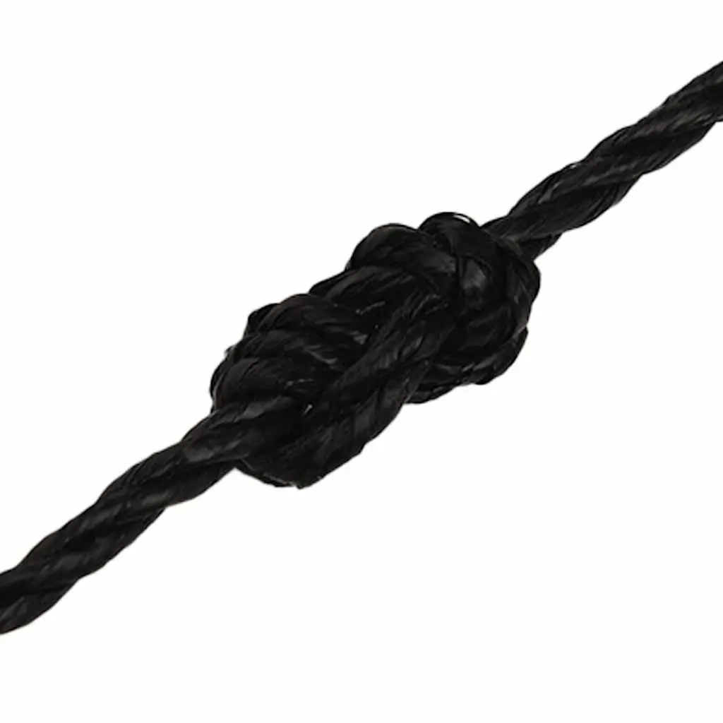 Work Rope Twisted Polypropylene 6mm 50m Black