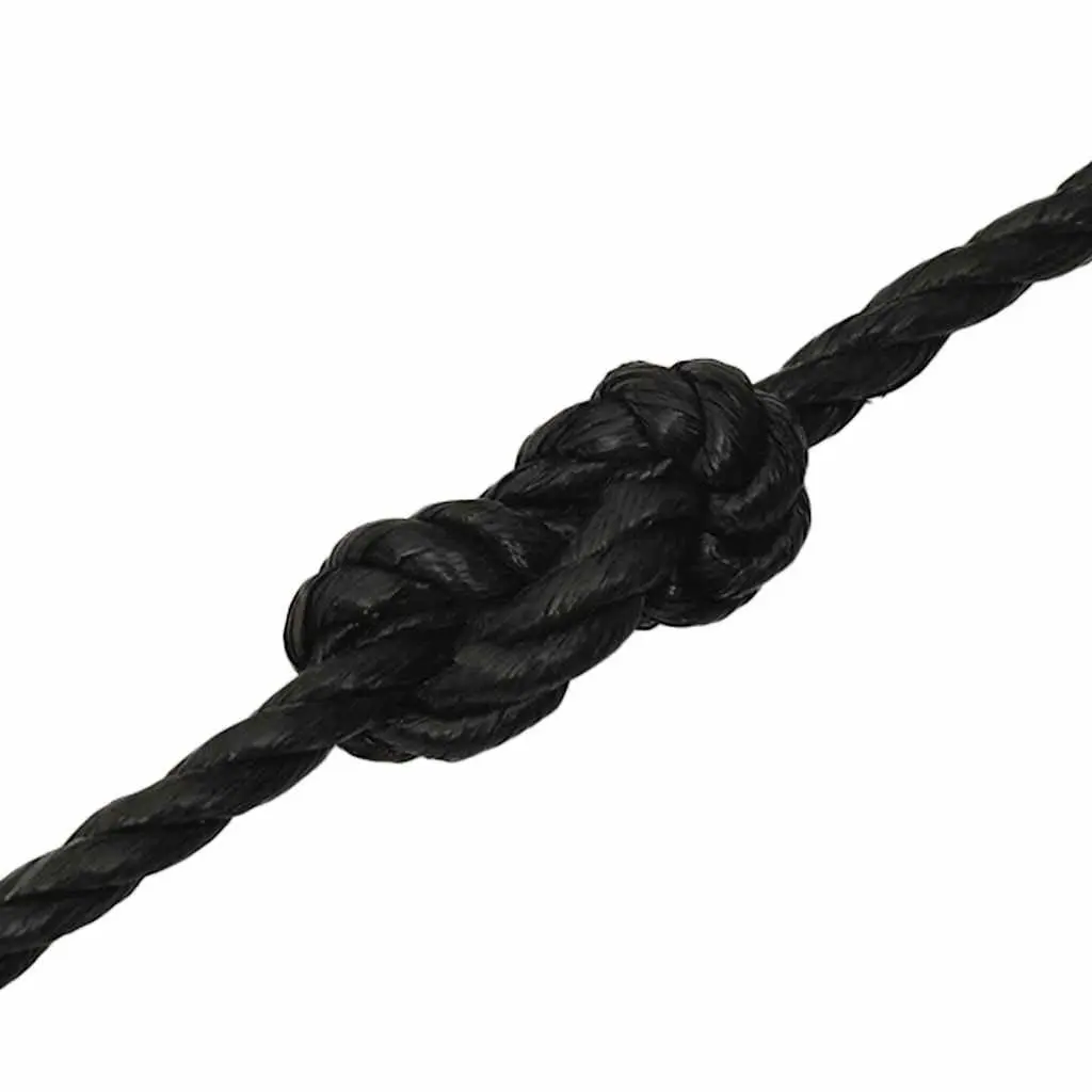 Twisted Polypropylene Rope 10mm 100m Black