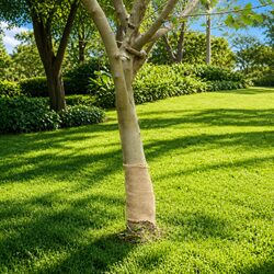 Jute Roll for Crafting, Decorating, and More