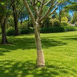 Jute Roll 0.25x100 m Natural Burlap Hessian Craft Decor Wedding Party Table