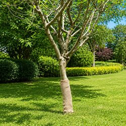 Natural Jute Roll for Weddings and Crafts