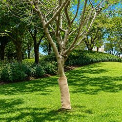 Jute Roll 0.5x50m Natural Burlap Runner Craft Decor Wedding Party Home Garden