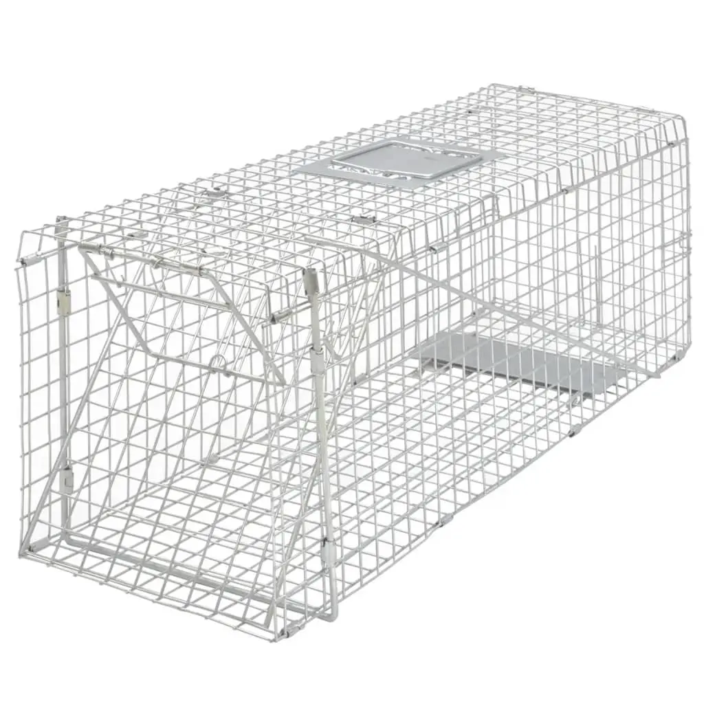 Live Trap Animal Cage Wire Mesh 80cm Galvanised Safe Catch Release