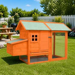 Functional Chicken Hutch for Your Backyard Needs