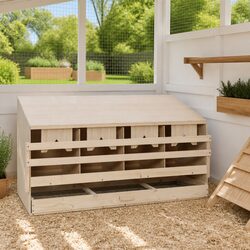 Functional Chicken Laying Nest Box for Everyday Use