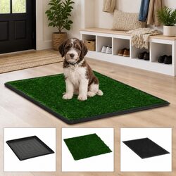 Practical Pet Toilet with Turf for Indoor Use