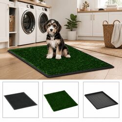 Practical Indoor Pet Potty Pad with Tray, 2 Pack