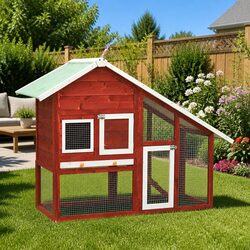 Practical Rabbit Hutch Designed for Every Home