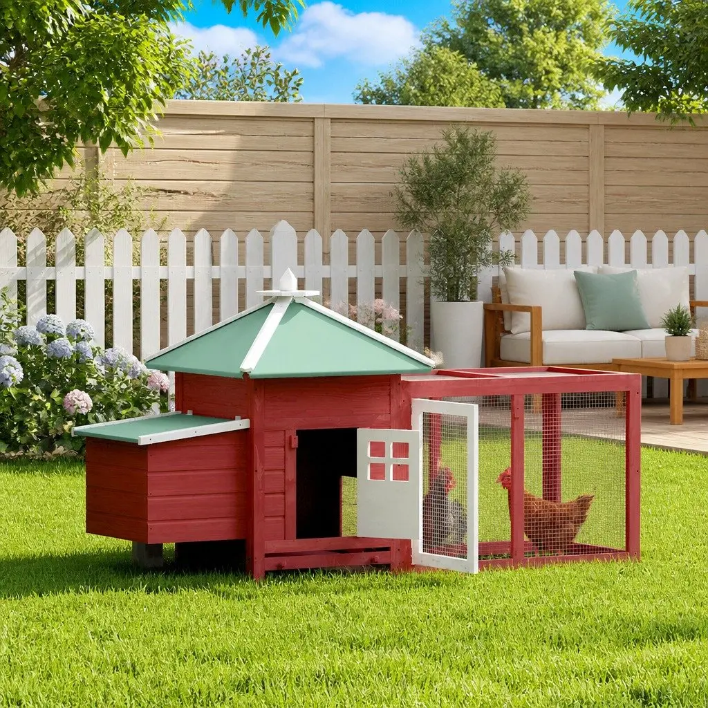 Chicken Coop for Backyard Use