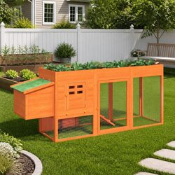 Practical Chicken Coop for Your Small Animals