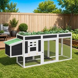 Functional Chicken Coop for Small Animals at Home