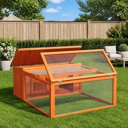 Practical Rabbit Hutch for Small Pets in Your Home