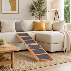 Pet Ramp for Everyday Use at Home