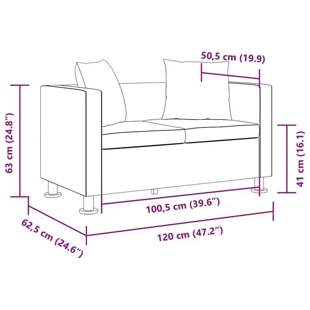 2-Seater Sofa for Apartment Living