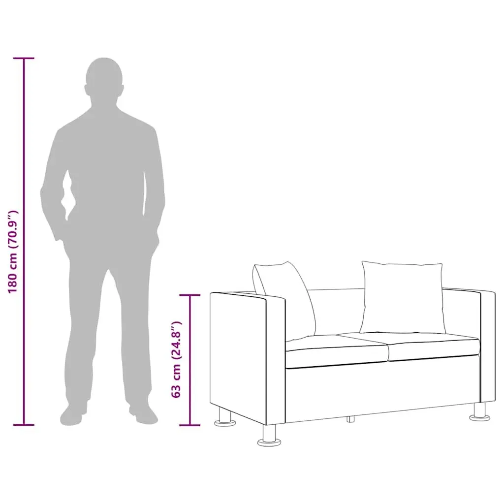 2-Seater Sofa for Apartment Living