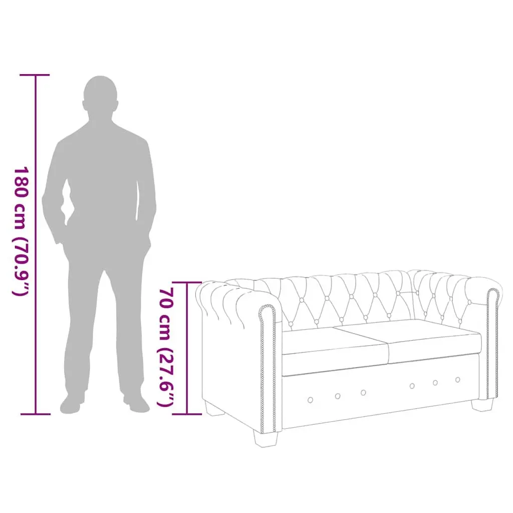 2-Seater Sofa for Living Rooms and Offices