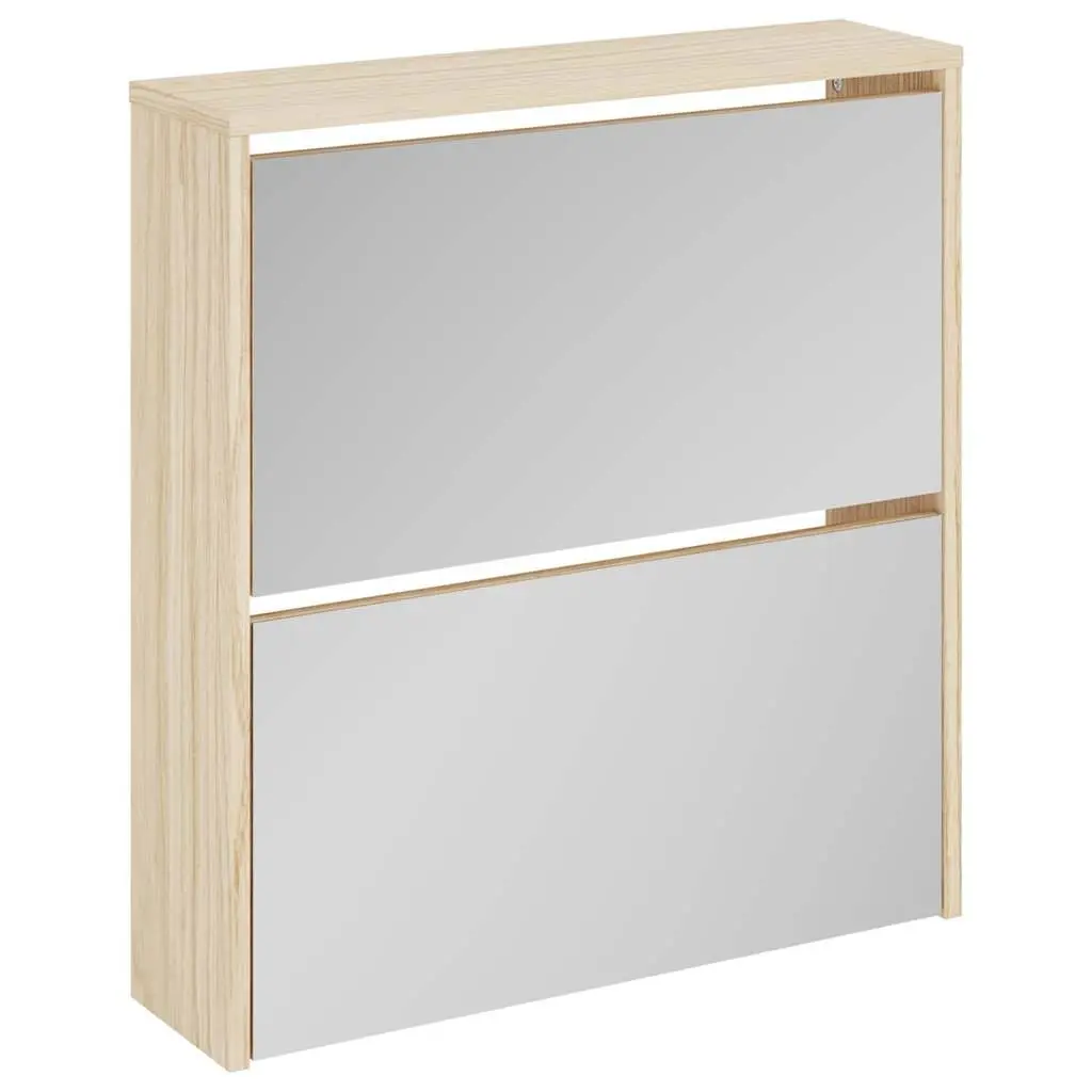 Shoe Cabinet 2-Layer Wall Mounted Brown Mirror Storage Organiser