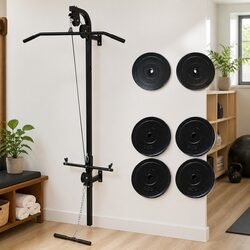 Wall-mounted Power Tower for Home Fitness