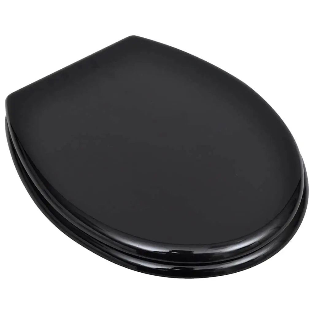 2 Pack Black Toilet Seats with Lids