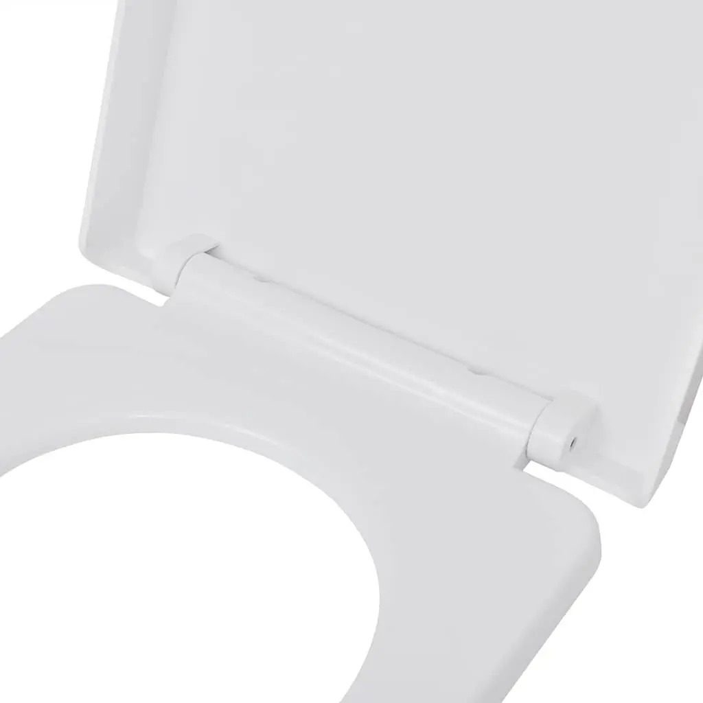 Toilet Seats Polypropylene Standard Bowl White Soft Close 2 Pack