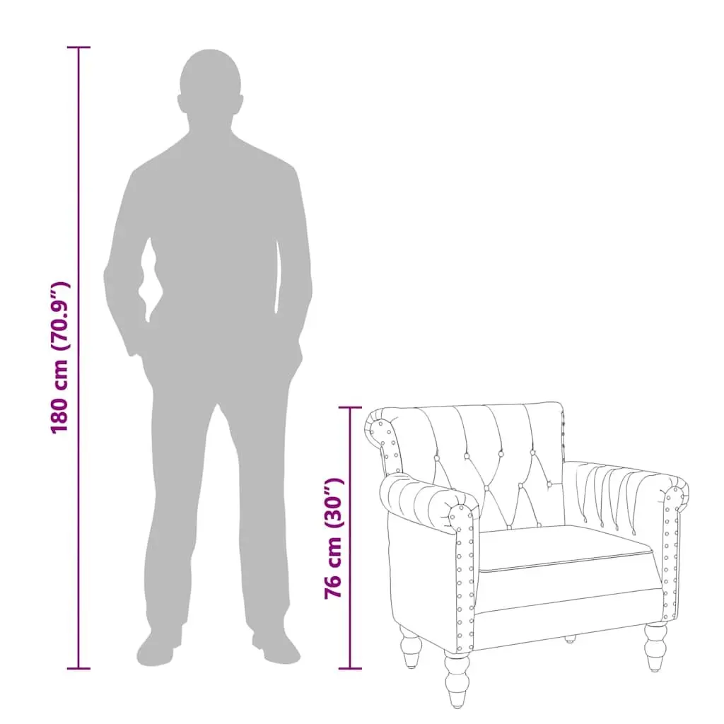Brown Armchair Solid Mango Wood Legs Upholstered in Real Goat Leather for Living Room