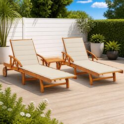 Versatile Outdoor Sun Lounger Set with Adjustable Features
